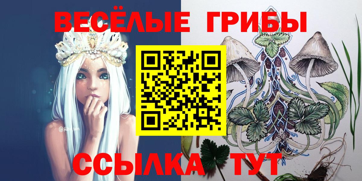 Псилоцибиновые грибы мицелий Новоуральск