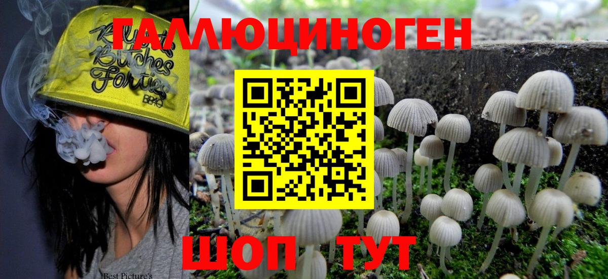 Галлюциногенные грибы GOLDEN TEACHER  Псилоцибиновые грибы мухоморы  цены наркотик  Вход с VPN  Новоуральск 