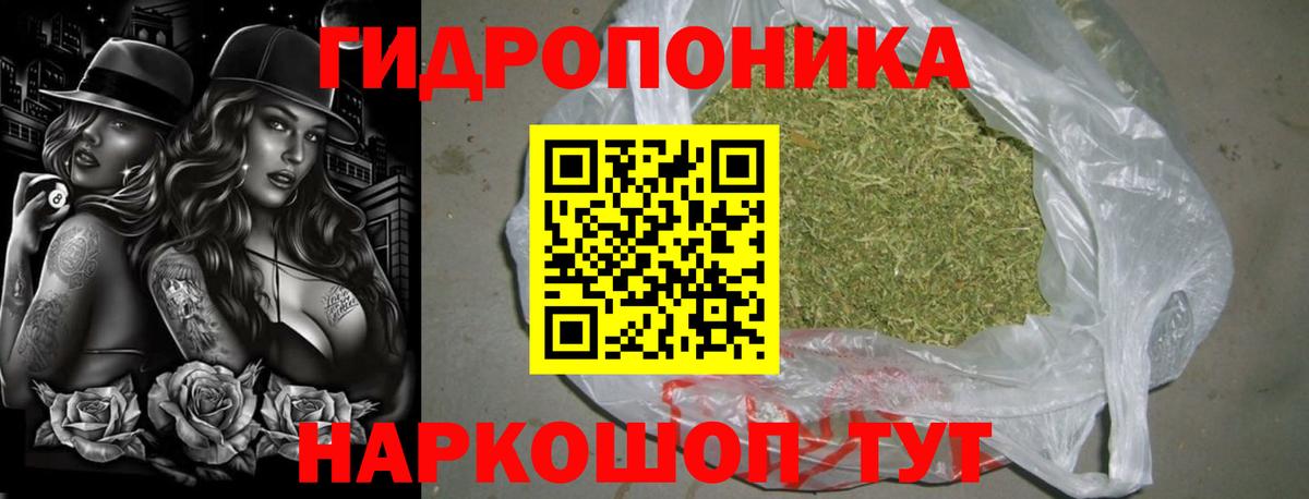 Бошки марихуана Bruce Banner  Марихуана OG Kush  Марихуана семена  Новоуральск  Вход с VPN  Шишки марихуана SATIVA & INDICA 